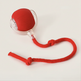 Spinner™ - Pallina interattiva automatica per cani e gatti